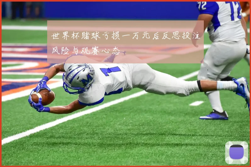 世界杯赌球亏损一万元后反思投注风险与观赛心态