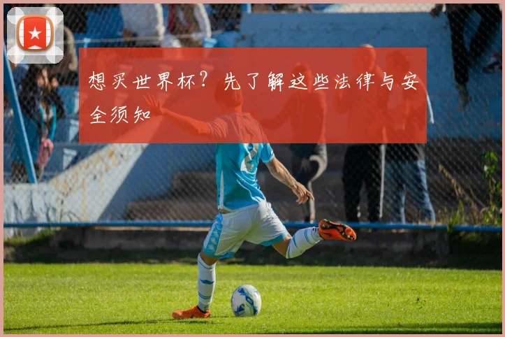 想买世界杯？先了解这些法律与安全须知