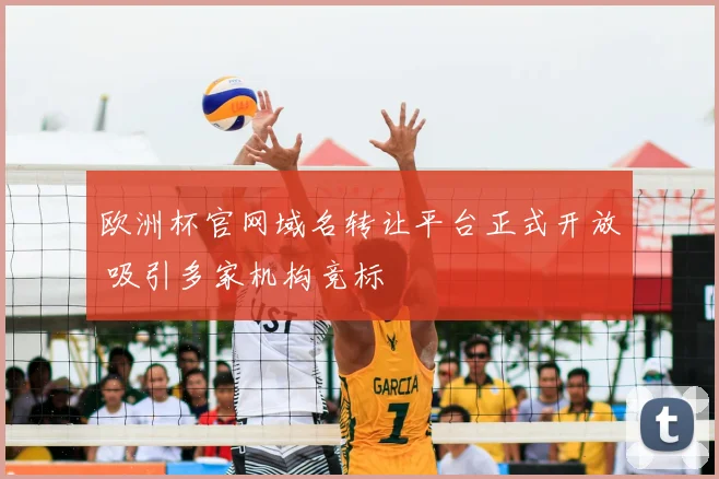 欧洲杯官网域名转让平台正式开放 吸引多家机构竞标
