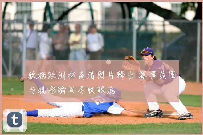 欣杨欧洲杯高清图片释出 赛事氛围与精彩瞬间尽收眼底