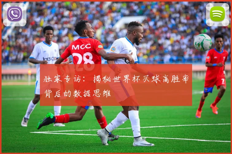 独家专访:揭秘世界杯买球高胜率背后的数据思维
