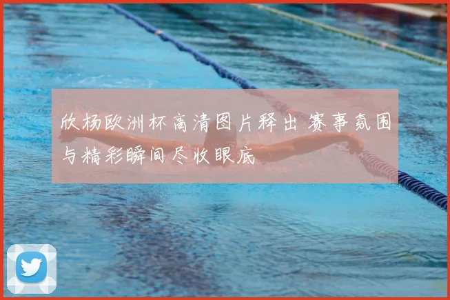 欣杨欧洲杯高清图片释出 赛事氛围与精彩瞬间尽收眼底