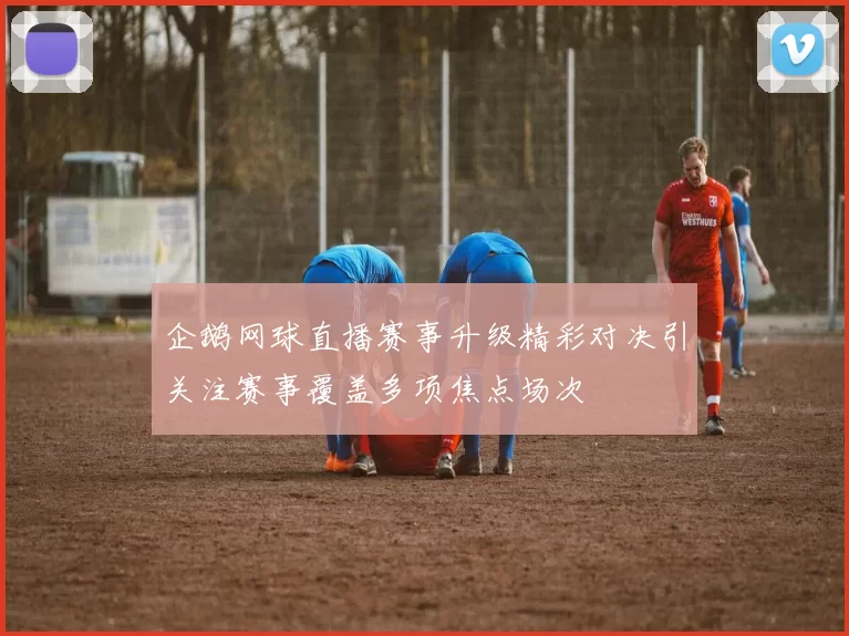 企鹅网球直播赛事升级精彩对决引关注赛事覆盖多项焦点场次