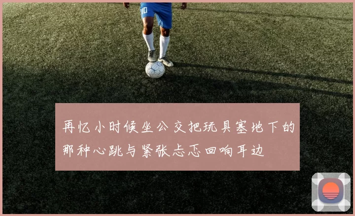 再忆小时候坐公交把玩具塞地下的那种心跳与紧张忐忑回响耳边