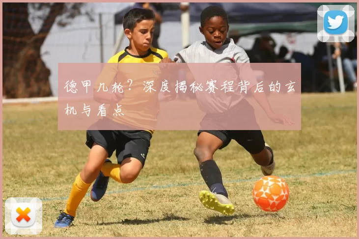 德甲几轮？深度揭秘赛程背后的玄机与看点