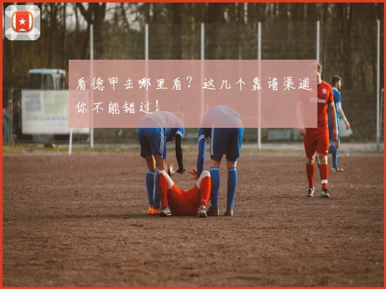 看德甲去哪里看？这几个靠谱渠道你不能错过！