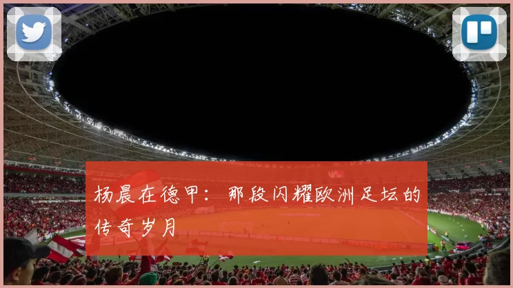 杨晨在德甲：那段闪耀欧洲足坛的传奇岁月