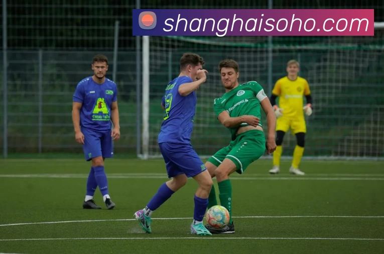 多媒体互动体验